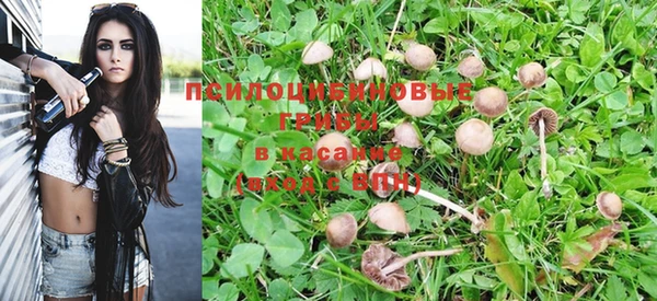 ПСИЛОЦИБИНОВЫЕ ГРИБЫ Балабаново