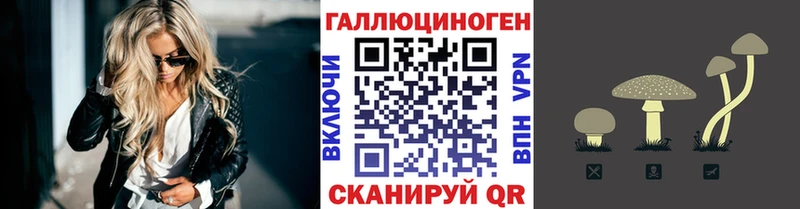 Псилоцибиновые грибы GOLDEN TEACHER  Бобров 